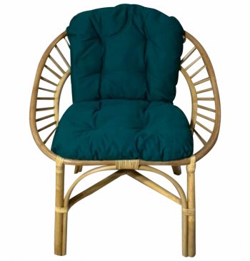 Кресло RJG-Princess (Ротанг №4, ткань JPN DRILL 034) в Нюрбе - mebel154.com