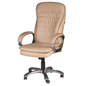 Кресло офисное BRABIX Omega EX-589 в Нюрбе - mebel154.com