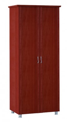 Шкаф для одежды 2-х дверный 3 Элегия в Нюрбе - mebel154.com
