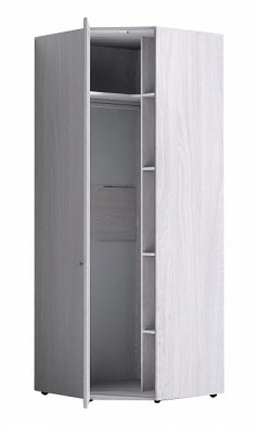 Шкаф для одежды угловой 56-2 Paola в Нюрбе - mebel154.com