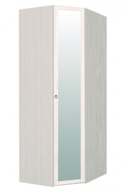 Шкаф для одежды угловой с зеркалом 56-2 Марсель в Нюрбе - mebel154.com