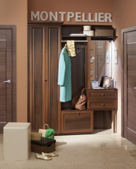 Шкаф для прихожей МЦН 2 Montpellier в Нюрбе - mebel154.com